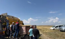Kars'ta Ata tohumu kavılca'da hasat bereketi