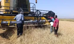 Kars'ta biçerdöver hasadı kontrolleri sürüyor