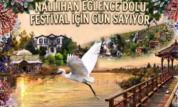 Nallıhan eğlence dolu festival için gün sayıyor