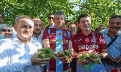 Özgür Özel, Trabzon’da fındık bahçesinde çalışan vatandaşları ziyaret etti