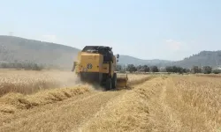 Tarımsal destekleme ödemeleri çiftçilerin hesaplarına aktarılıyor