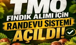 TMO fındık alımı için randevuları açtı