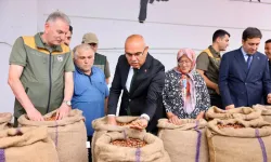 TMO ilk fındık alımını yaptı