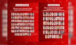 8 ülkede yakalanan 76 aranan şahıs Türkiye'ye iade edildi