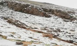 Antalya'ya mevsimin ilk karı yağdı!