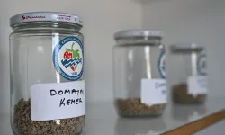 Ata Tohum projesi, katlanarak yürüyor