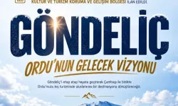 Başkan Güler'den Ordu'ya kış turizminde müjde