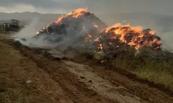 Çat'ta yıldırım düştü, otluk alanda yangın çıktı