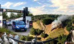 Diyarbakır'da 217 bin kök kenevir imha edildi