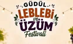 Güdül'de 2 gün sürecek festival başlıyor