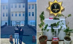Kars'ta uyuşturucu operasyonu: Esrar ve Hint keneviri ele geçirildi