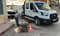 Kırıkkale'de vektörle mücadele çalışmaları sürüyor