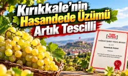 Kırıkkale'nin Hasandede Üzümü artık tescilli