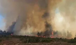 Muğla'da orman yangını büyüyor: Ula'ya ulaştı