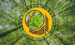 OGM duyurdu; Antalya ve Adana'daki yangınlar kontrol altında