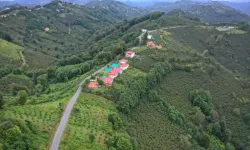 Ordu Çaybaşı'nda 6 kilometrelik yol asfaltlandı