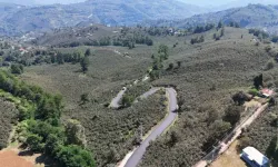 Ordu Ulubey Şeyhler'e sıcak asfalt