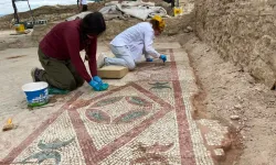 Pompeiopolis'te yeni keşif: 105 metrekarelik mozaik ve Eros başı bulundu