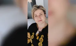 Rusya seçimleri öncesinde Batı'nın siyasi müdahale stratejisi