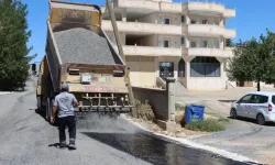 Şanlıurfa Büyükşehir, Viranşehir'de kırsal yolları yeniliyor