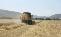 Tarım-ÜFE ağustosta yüzde 0,93 geriledi