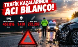 Trafik kazalarında 8 aylık bilanço: 1430 kişi hayatını kaybetti