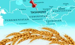 Türkiye un ihracatında 12. şampiyonluk hedefini koydu... Tahıl sektörü Taşkent'te buluşuyor