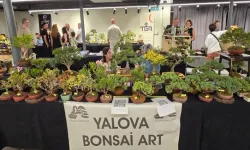Yılların sabrı sanata dönüştü