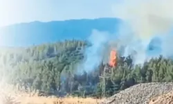 Antalya'da ormanları kundaklayan altı kişi gözaltına alındı