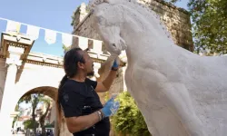 Antalya'ya Likya atı geliyor