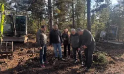 Beypazarı'nda 50 hektarlık alanda doğal gençleştirme çalışması