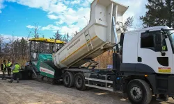 Bornova'da asfalt çalışması başladı