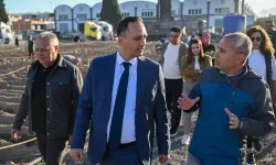 Bornova'da yağmur suyuyla tarımsal üretim başladı