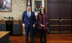 Ceza ve Tevkifevleri Genel Müdürlüğü ile Avrupa Konseyi arasında iş birliği görüşmesi