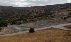 Dikili'ye tam teşekküllü sokak hayvanları kampüsü