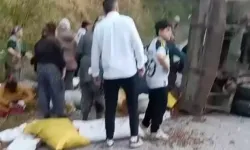 Düzce'de fındık işçilerini taşıyan traktör devrildi: 11 yaralı
