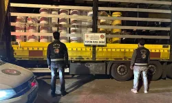 Gümrük Muhafaza ekiplerinden 125 milyon liralık operasyon