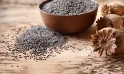 Haşhaş alım fiyatları belli oldu... Başvurular 30 Ekim'de sona erecek