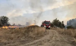 Keşan'da anız yangınları yine gündemde... Keşan yanıyor, halk zehir soluyor!