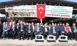 Ordu'da 'Akkuş Şeker Fasulyesi' hasatı başladı