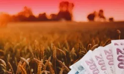 TMO'dan üreticilere 4,2 milyar liralık ürün bedeli ödemesi