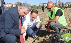 Yalova'nın ilk kent bostanına Bornova desteği