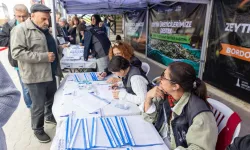 Zeytinde ortak akıl sahaya taşınıyor