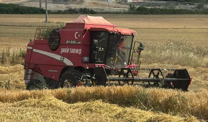 Edirne Keşan'da ilk arpa hasadı... Çiftçi fiyattan dertli