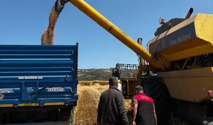 Bursa'da Hububat Hasadında Biçerdöver Denetimi: Dane Kaybına Son