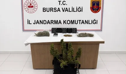 Bursa'da Jandarmadan Uyuşturucu Operasyonu: 3 Gözaltı
