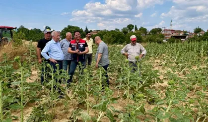 Edirne Keşan'da fırtına sonrası hasar tespiti başladı