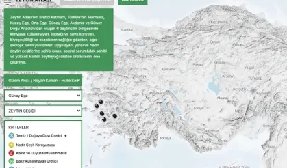 Türkiye'nin 'Zeytin Atlası' erişime açıldı