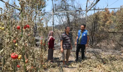 Muğla Seydikemer'de yangın sonrası seferberlik