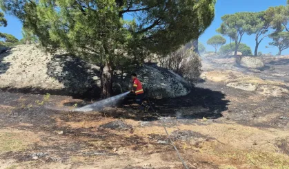 Muğla'da yangınların acı bilançosu! Her 10 yangından 7'si insan kaynaklı